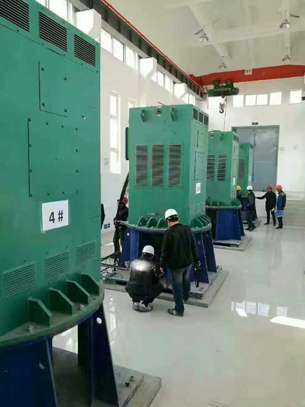 Y6303-6某污水处理厂使用我厂的立式高压电机安装现场