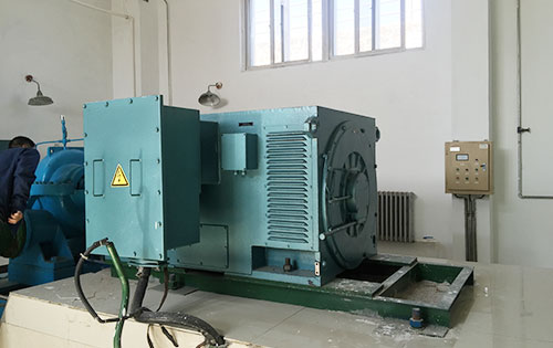 Y6303-6某水电站工程主水泵使用我公司高压电机