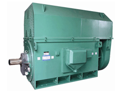 Y6303-6Y系列6KV高压电机