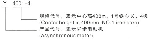 西安泰富西玛Y系列(H355-1000)高压Y6303-6三相异步电机型号说明